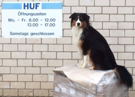 zeit